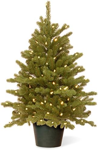חברת העצים הלאומית 'מרגיש אמיתי' עץ חג המולד מלאכותי לכניסות | כולל אורות לבנים ועומדים | המפטון